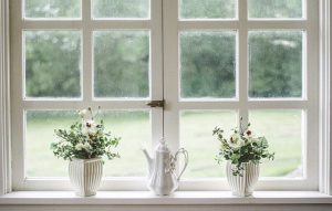 Some houseplants next to the window.