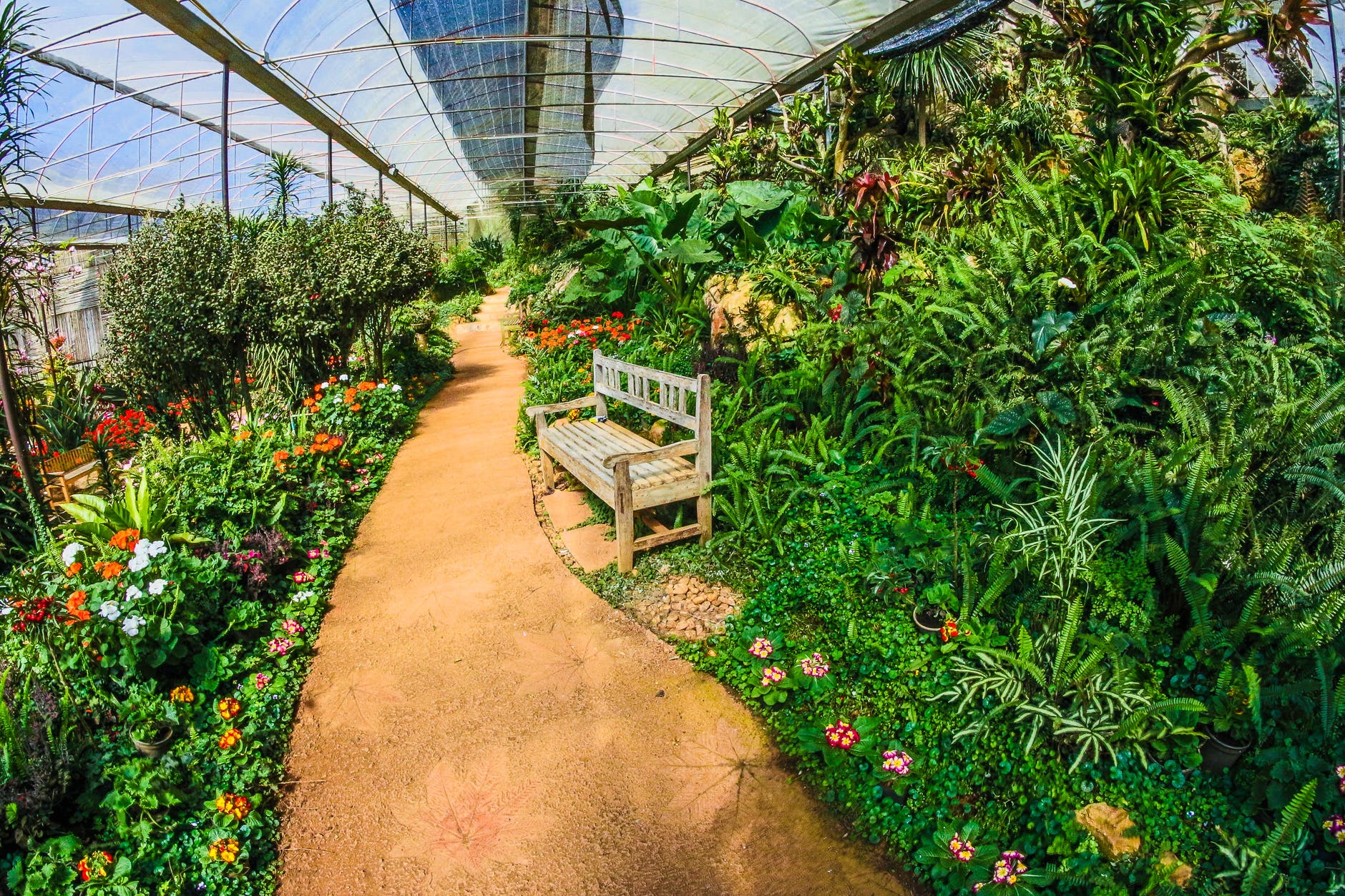 Garden Design Ideas to Grow More in Small Space