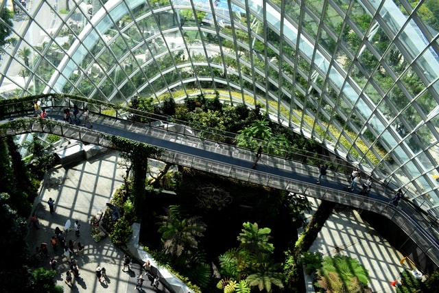 A glass building with plants.