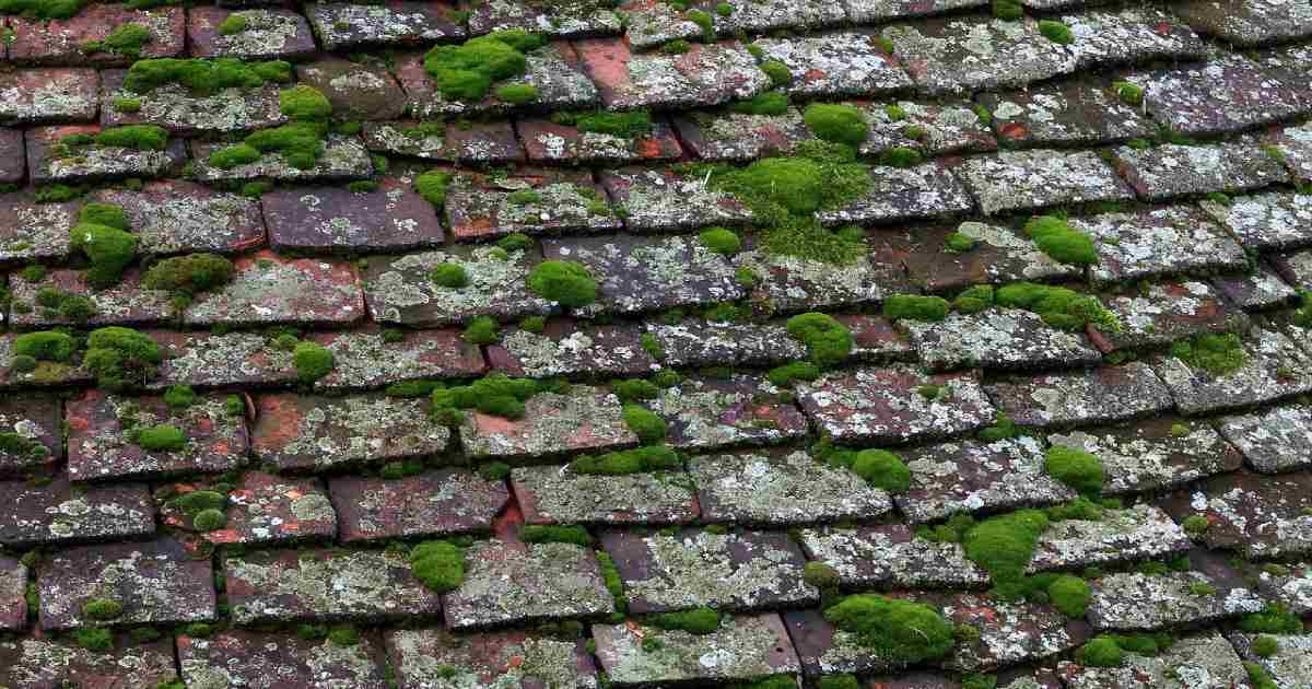 Top 10 Common Roofing Problems You Must Rectify Them