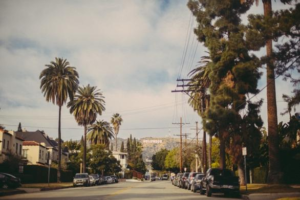 A street in Beverly Hills.