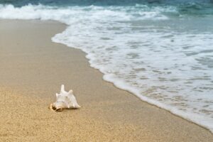 The beach in one of the small towns in New Jersey perfect for senior living.