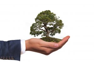 A man in a suit holding a tree in the hand.